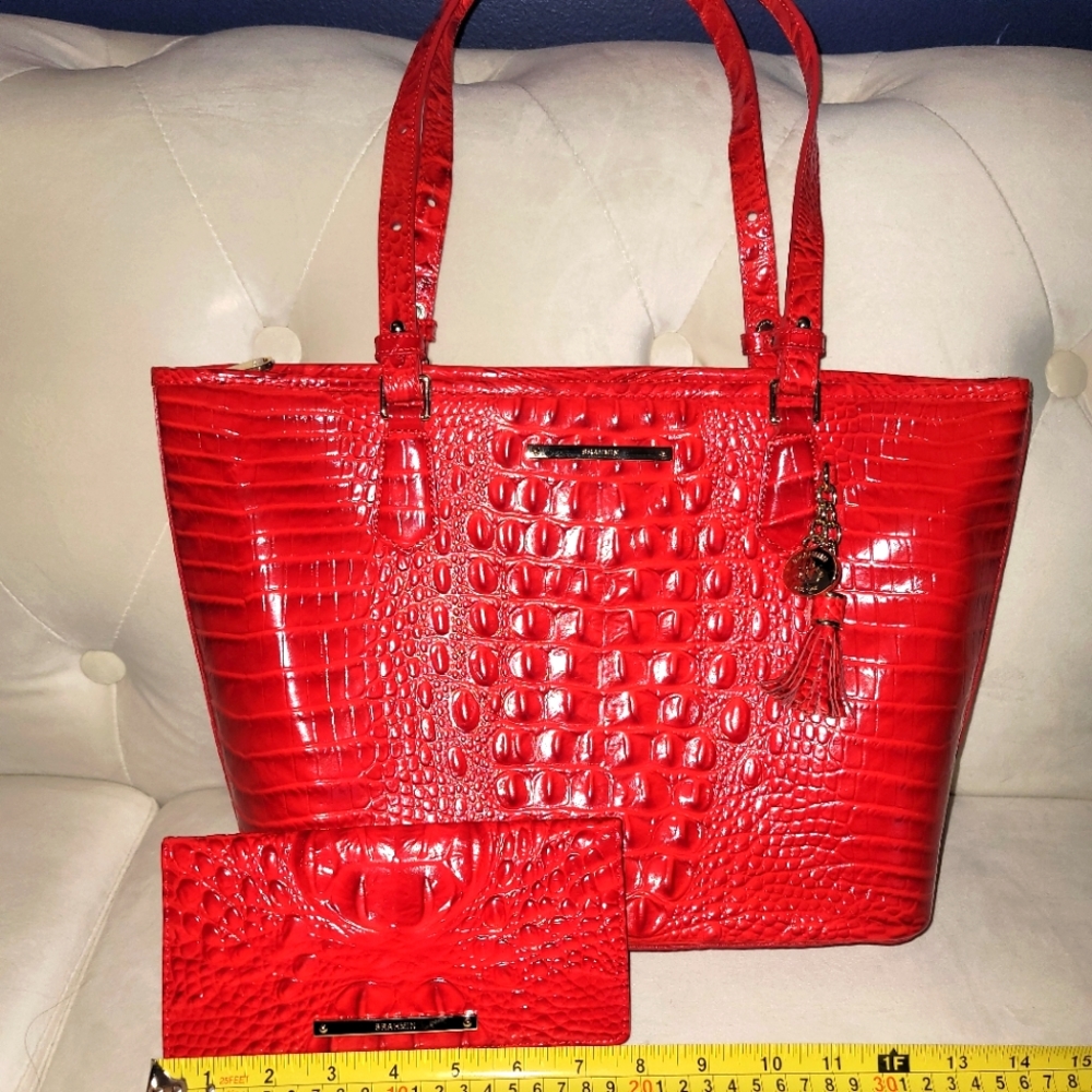 SUPER 24 HR SALE!!!  EUC Brahmin Large Asher w Ady wallet in Carnation.